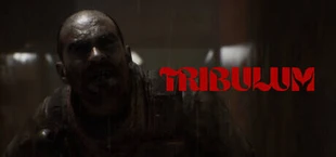Tribulum