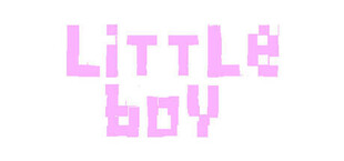 Little Boy : Small Steps, Big Changes