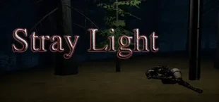 Stray Light