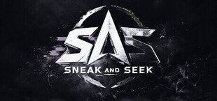 Sneak And Seek