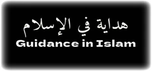 Guidance in Islam