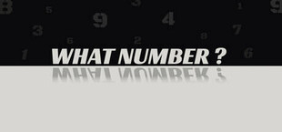 WHAT NUMBER?