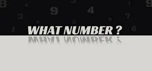 WHAT NUMBER?