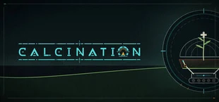 Calcination