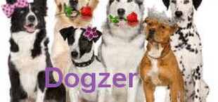 Dogzer