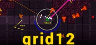 Grid12
