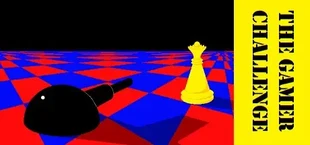 The Gamer Challenge