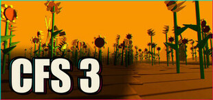 CFS 3