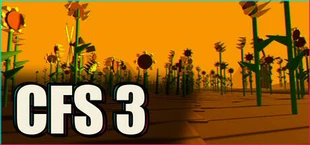 CFS 3