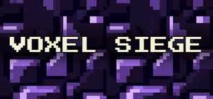 Voxel Siege
