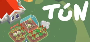 Tún