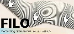 FILO: Something Filamentous
