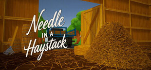 Needle In a Haystack