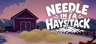 Needle in a Haystack