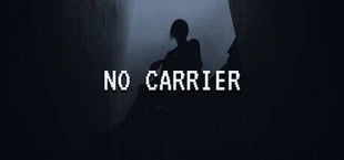 NO CARRIER
