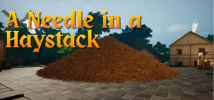 A Needle In a Haystack