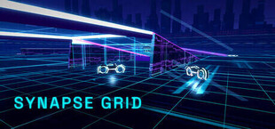 Synapse Grid