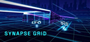 Synapse Grid