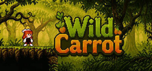 Wild Carrot