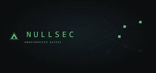 Nullsec: Unauthorized Access