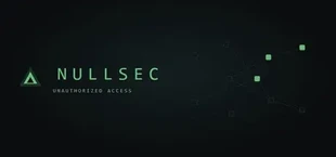 Nullsec: Unauthorized Access