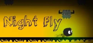 Night Fly