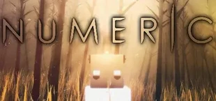 NUMERIC
