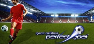 PerfectGoal