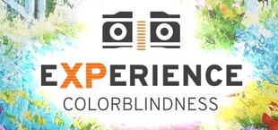 Experience: Colorblindness