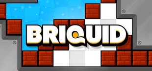 Briquid