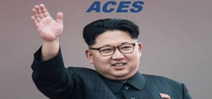 Area Cooperation Economic Simulation: North Korea (ACES)
