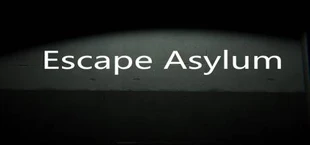 Escape Asylum
