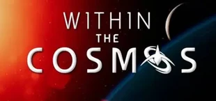 Within the Cosmos