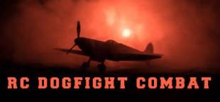 Air Combat Fighter