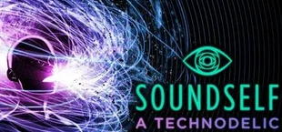 The VR Voice Experience