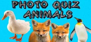 Photo Quiz - Animals