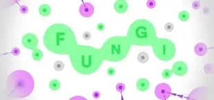 FUNGI