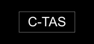 C-TAS: A Virtual Chinese Learning Game