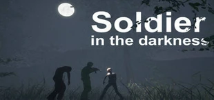 Soldier in the darkness