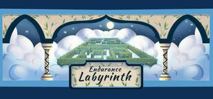 Endurance Labyrinth