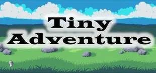 Rogues Adventure