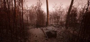Abandoned