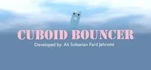 Cuboid Bouncer