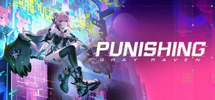 Punishing: Gray Raven