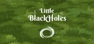 Black Hole Simulator