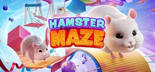 Hamster Playground