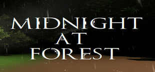 Midnight at Forest