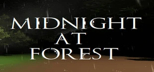 Midnight at Forest