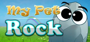 My Pet Rock