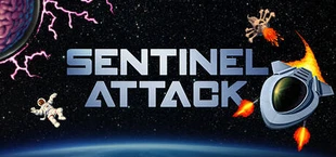 Beyond Sentinel